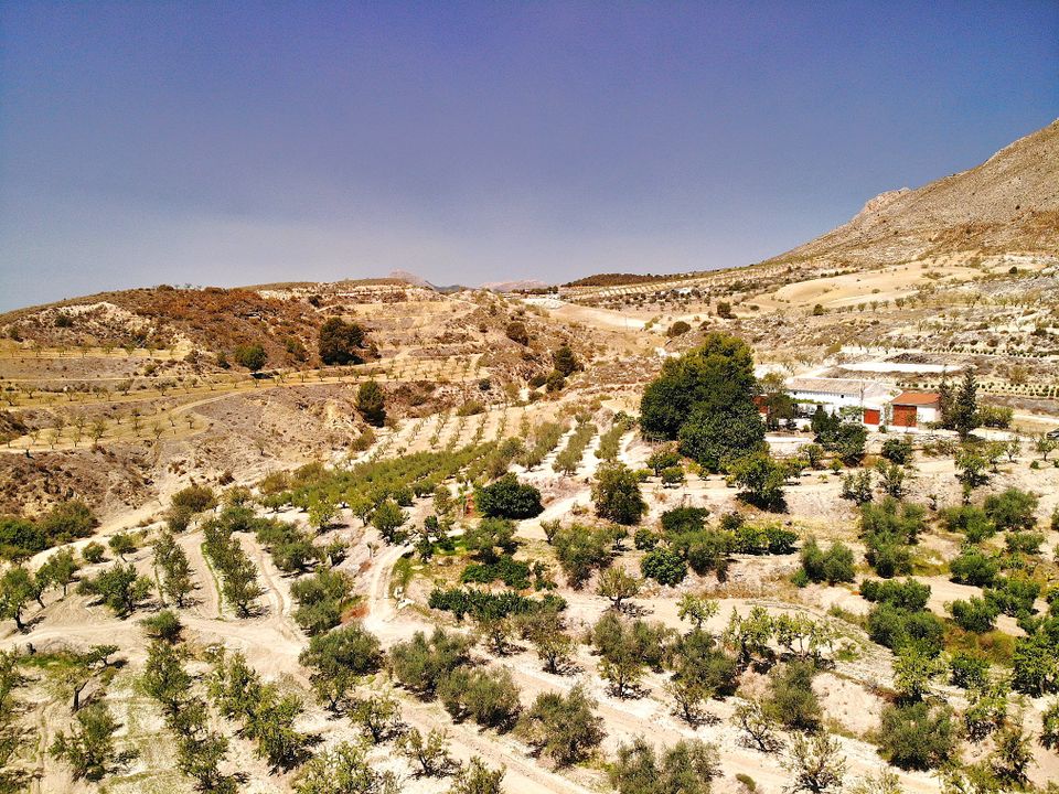 Landejendom i Lorca, Murcia - foto 4